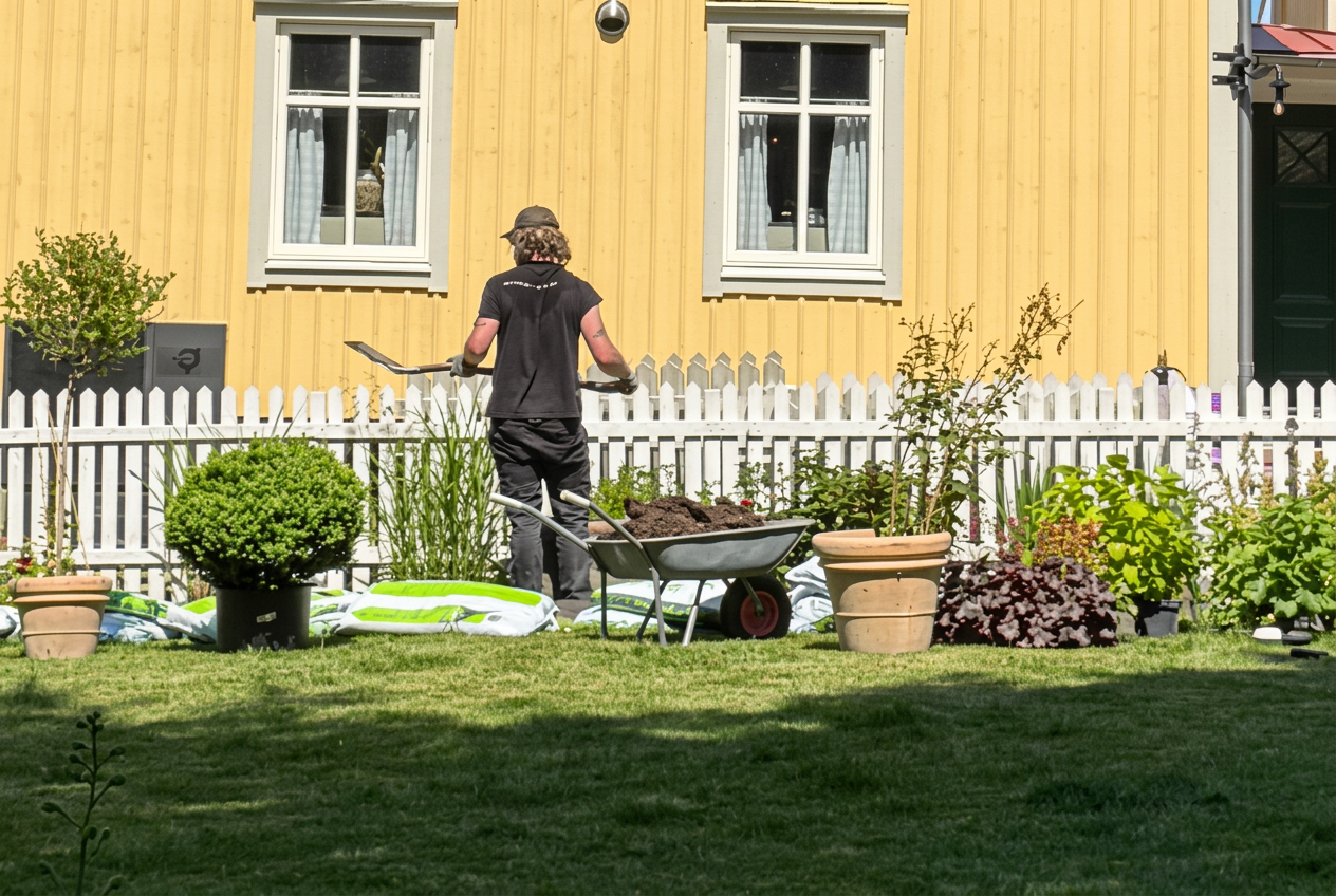Trädgårdsanläggare med spade och skottkärra planterar rabatt framför gult trähus